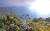 Gods Window in Mpumalanga